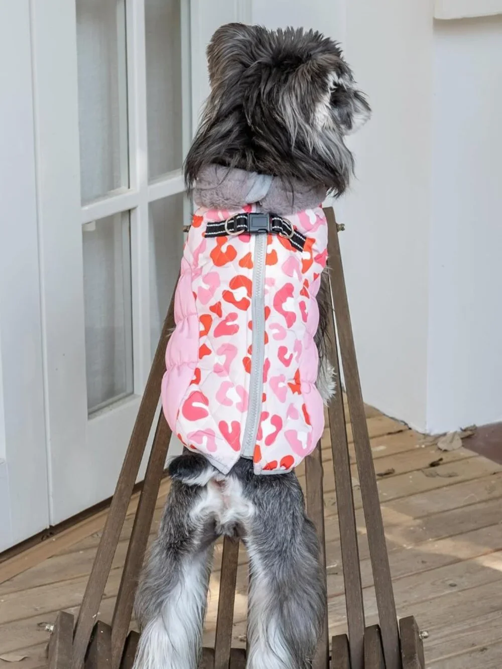 Cutebone Waterproof Thick Dog Winter Coat  Small Chest Size	21.3 Inches